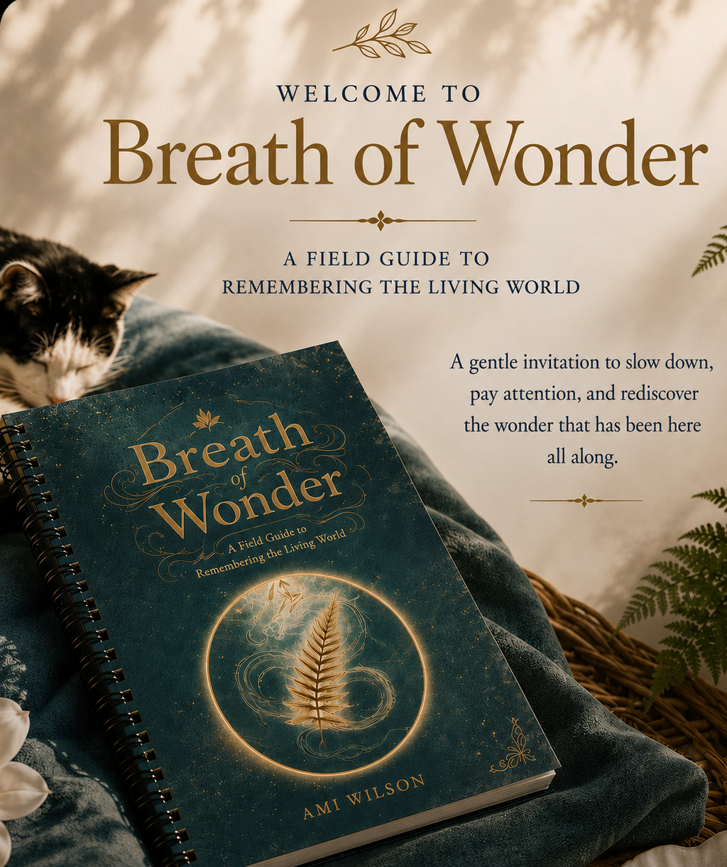 Breath of Wonder