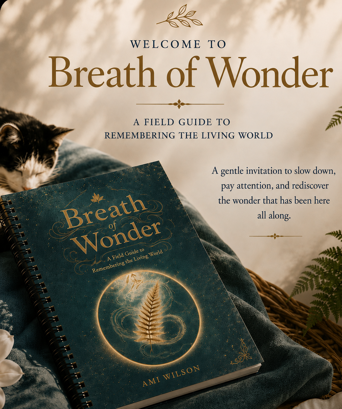Breath of Wonder